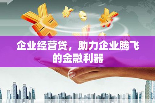雷州企业经营贷，助力企业腾飞的金融利器