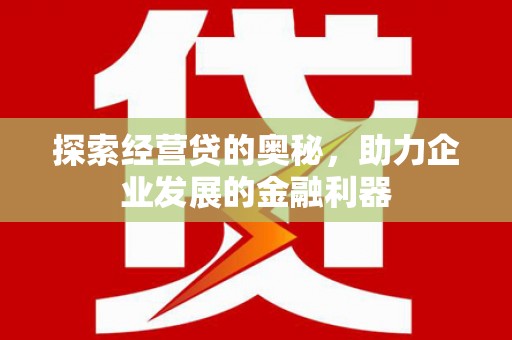 雷州探索经营贷的奥秘，助力企业发展的金融利器