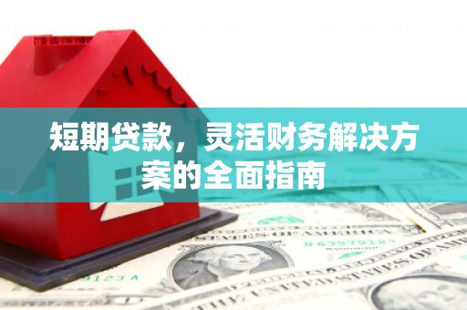 雷州短期贷款，灵活财务解决方案的全面指南