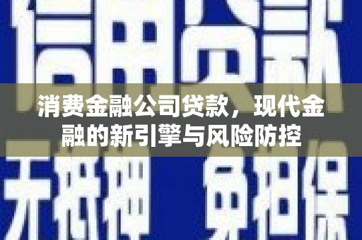 雷州消费金融公司贷款，现代金融的新引擎与风险防控