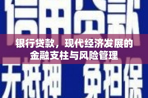 雷州银行贷款，现代经济发展的金融支柱与风险管理