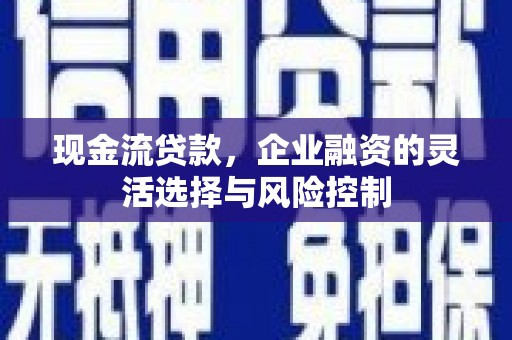 雷州现金流贷款，企业融资的灵活选择与风险控制