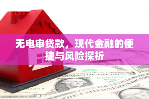 雷州无电审贷款，现代金融的便捷与风险探析