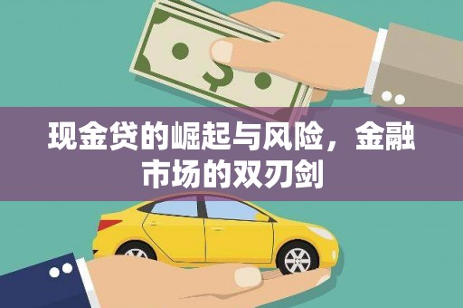 雷州现金贷的崛起与风险，金融市场的双刃剑