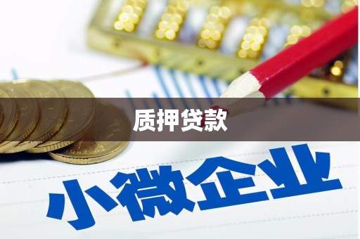 雷州质押贷款