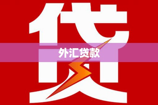 雷州外汇贷款