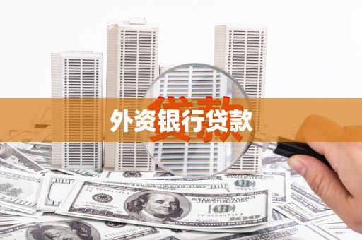 雷州外资银行贷款