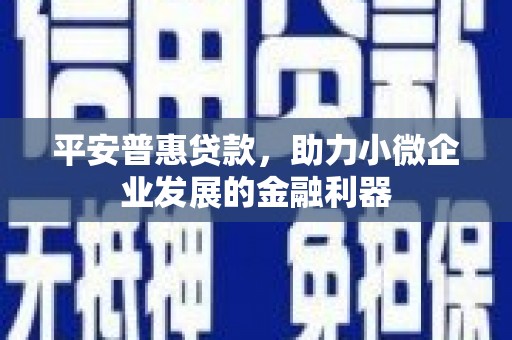 雷州平安普惠贷款，助力小微企业发展的金融利器