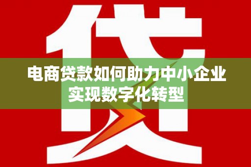 雷州电商贷款如何助力中小企业实现数字化转型