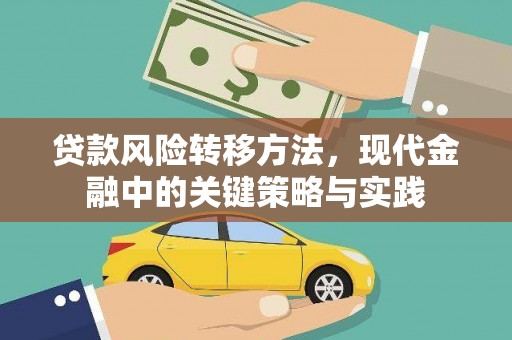 雷州贷款风险转移方法，现代金融中的关键策略与实践