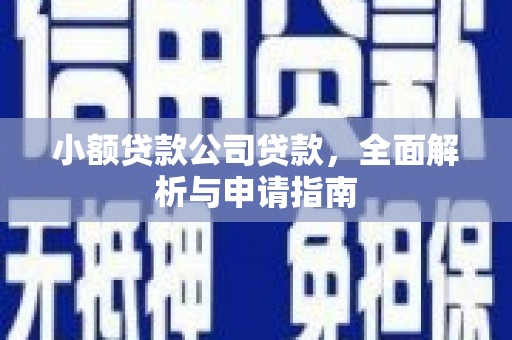 雷州小额贷款公司贷款，全面解析与申请指南