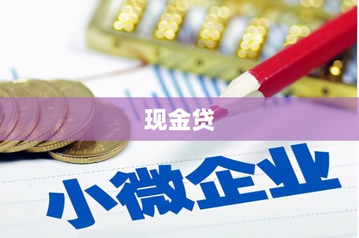 雷州现金贷