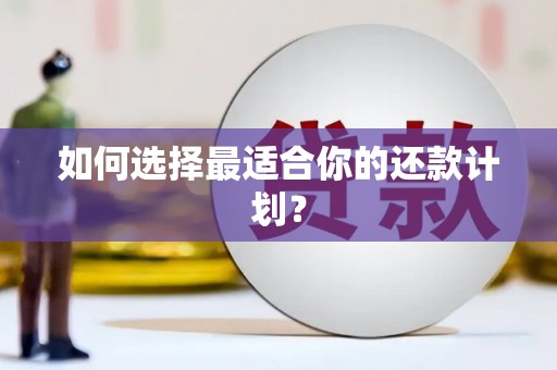 雷州如何选择最适合你的还款计划？
