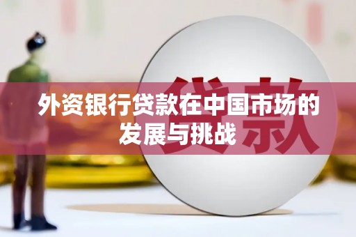 雷州外资银行贷款在中国市场的发展与挑战