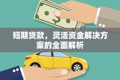 雷州短期贷款，灵活资金解决方案的全面解析