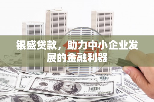 雷州银盛贷款，助力中小企业发展的金融利器