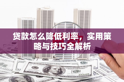 雷州贷款怎么降低利率，实用策略与技巧全解析