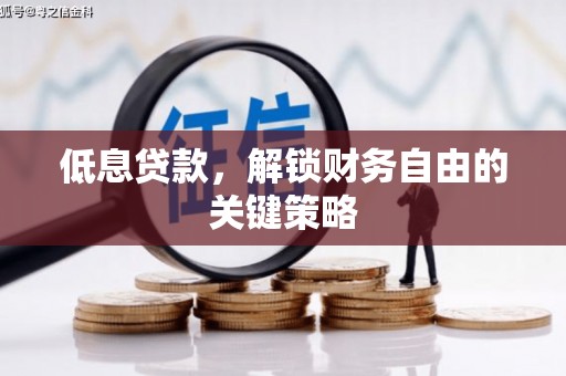 雷州低息贷款，解锁财务自由的关键策略