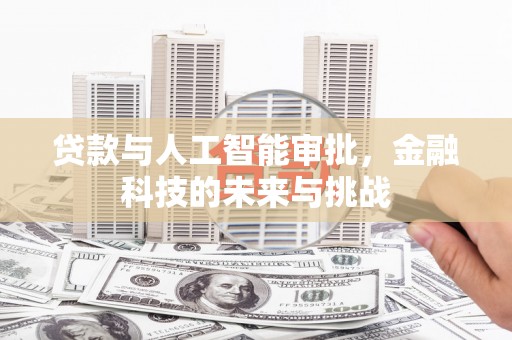 雷州贷款与人工智能审批，金融科技的未来与挑战