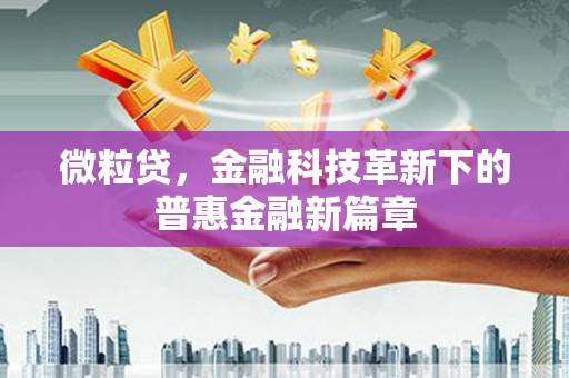雷州微粒贷，金融科技革新下的普惠金融新篇章