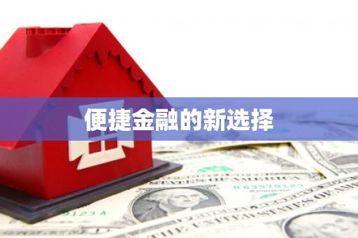 雷州便捷金融的新选择
