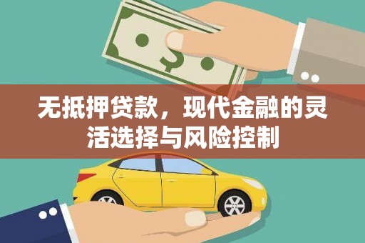 雷州无抵押贷款，现代金融的灵活选择与风险控制