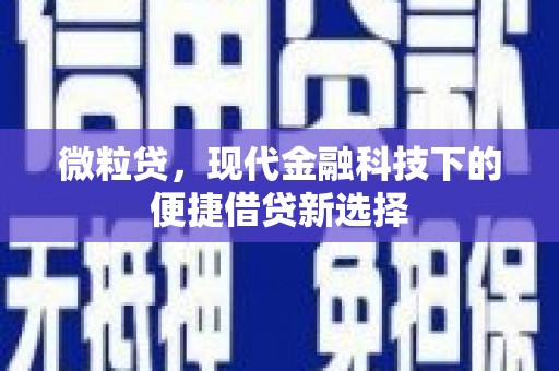 雷州微粒贷，现代金融科技下的便捷借贷新选择