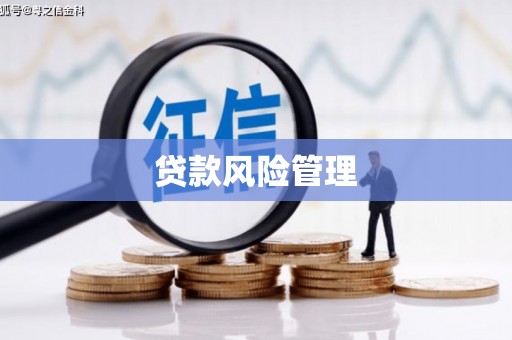 雷州贷款风险管理