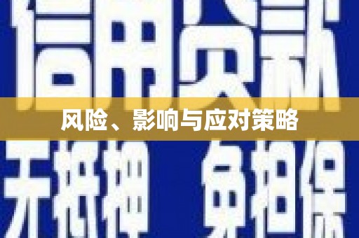雷州风险、影响与应对策略
