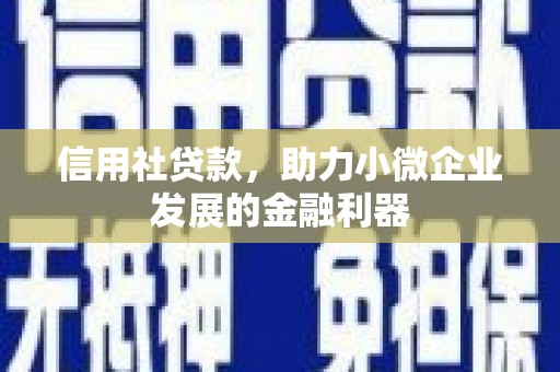 雷州信用社贷款，助力小微企业发展的金融利器