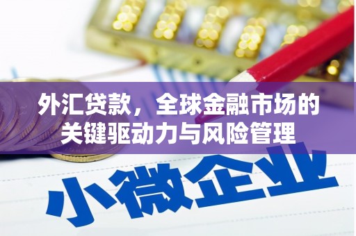 雷州外汇贷款，全球金融市场的关键驱动力与风险管理