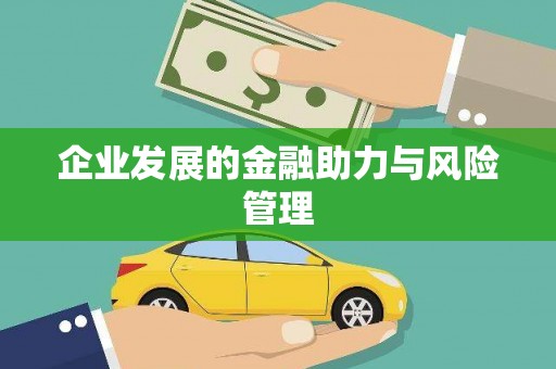 雷州企业发展的金融助力与风险管理