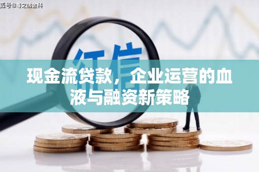雷州现金流贷款，企业运营的血液与融资新策略