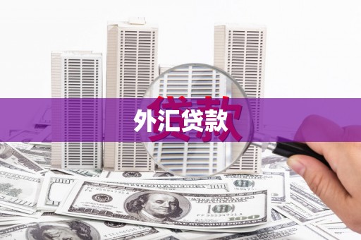 雷州外汇贷款
