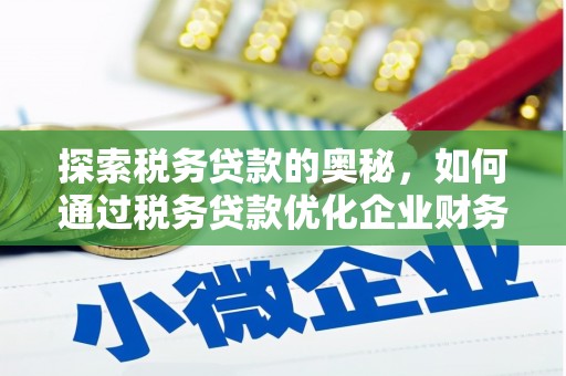 雷州探索税务贷款的奥秘，如何通过税务贷款优化企业财务