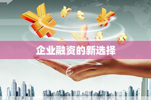 雷州企业融资的新选择