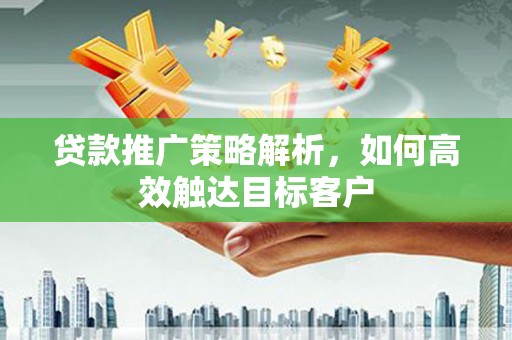 雷州贷款推广策略解析，如何高效触达目标客户