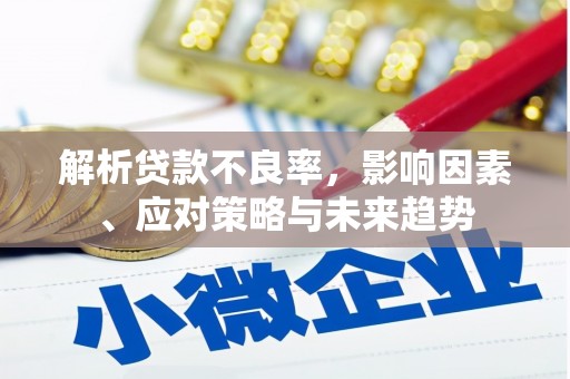 雷州解析贷款不良率，影响因素、应对策略与未来趋势