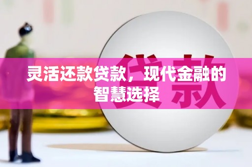 雷州灵活还款贷款，现代金融的智慧选择