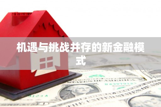 雷州机遇与挑战并存的新金融模式