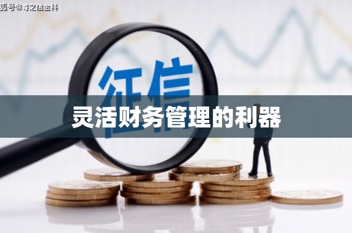 雷州灵活财务管理的利器