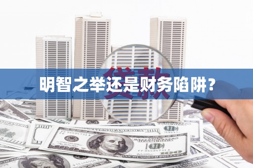 雷州明智之举还是财务陷阱？