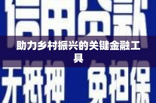 雷州助力乡村振兴的关键金融工具