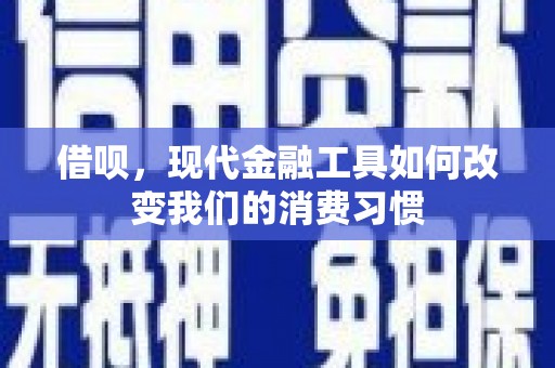 雷州借呗，现代金融工具如何改变我们的消费习惯