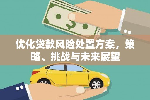 雷州优化贷款风险处置方案，策略、挑战与未来展望