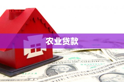 雷州农业贷款