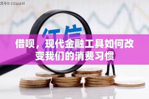 雷州借呗，现代金融工具如何改变我们的消费习惯