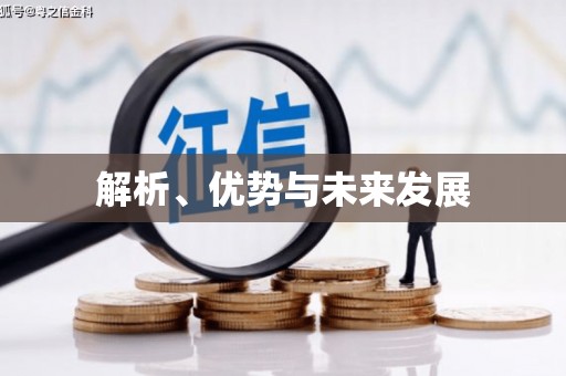 雷州解析、优势与未来发展