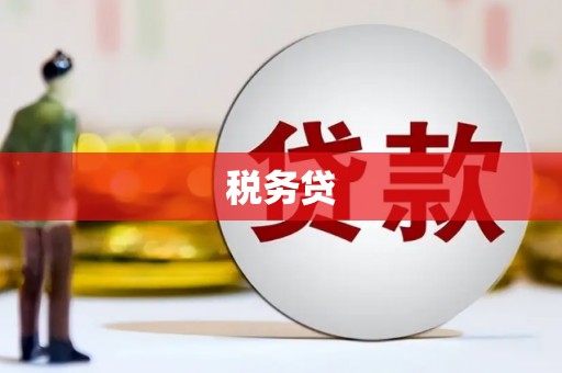 雷州税务贷