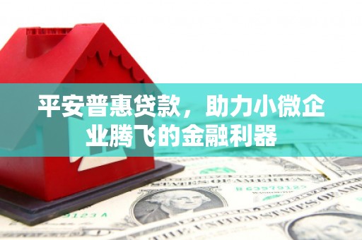 雷州平安普惠贷款，助力小微企业腾飞的金融利器